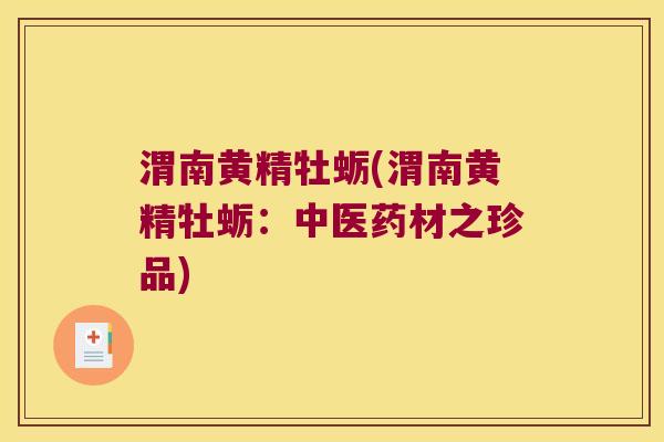渭南黄精牡蛎(渭南黄精牡蛎:中医药材之珍品) 渭南黄精牡蛎(渭南黄精牡蛎:中医药材之珍品)