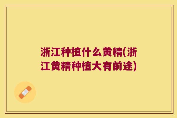 浙江种植什么黄精(浙江黄精种植大有前途) 浙江种植什么黄精(浙江黄精种植大有前途)