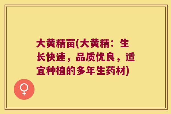 大黄精苗(大黄精:生长快速,品质优良,适宜种植的多年生药材) 大黄精苗(大黄精:生长快速,品质优良,适宜种植的多年生药材)
