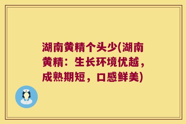 湖南黄精个头少(湖南黄精:生长环境优越,成熟期短,口感鲜美) 湖南黄精个头少(湖南黄精:生长环境优越,成熟期短,口感鲜美)