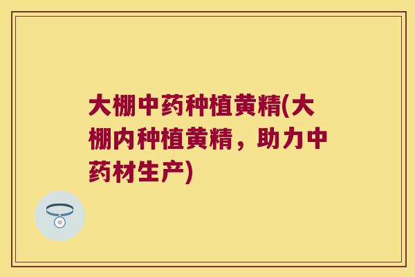 大棚种植黄精(大棚内种植黄精，助力材生产)