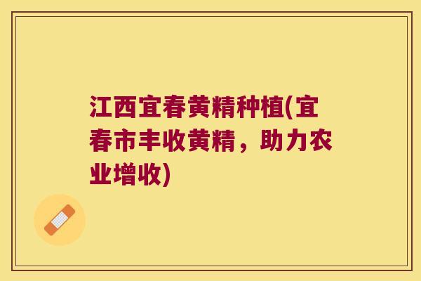 江西宜春黄精种植(宜春市丰收黄精，助力农业增收)