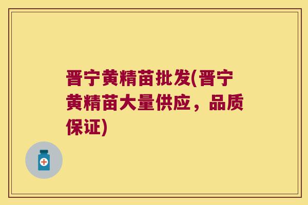 晋宁黄精苗批发(晋宁黄精苗大量供应,品质保证) 晋宁黄精苗批发(晋宁黄精苗大量供应,品质保证)