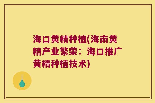 海口黄精种植(海南黄精产业繁荣:海口推广黄精种植技术) 海口黄精种植(海南黄精产业繁荣:海口推广黄精种植技术)