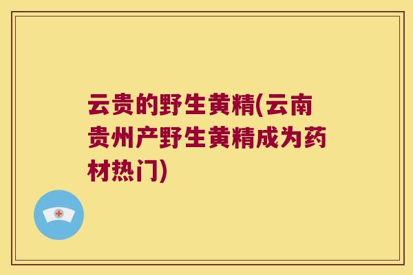 云贵的野生黄精(云南贵州产野生黄精成为药材热门) 云贵的野生黄精(云南贵州产野生黄精成为药材热门)