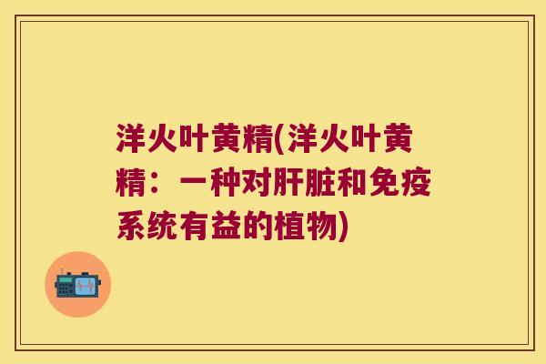 洋火叶黄精(洋火叶黄精：一种对和系统有益的植物)