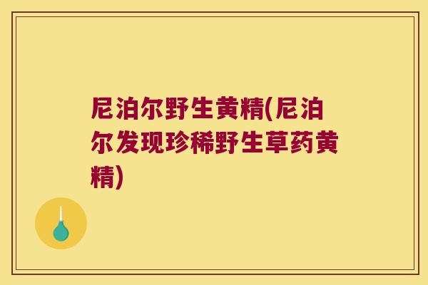 尼泊尔野生黄精(尼泊尔发现珍稀野生草药黄精)