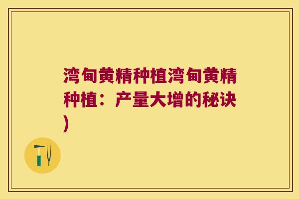 湾甸黄精种植湾甸黄精种植:产量大增的秘诀) 湾甸黄精种植湾甸黄精种植:产量大增的秘诀)