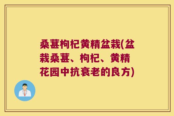桑葚枸杞黄精盆栽(盆栽桑葚、枸杞、黄精 花园中抗的良方) 桑葚枸杞黄精盆栽(盆栽桑葚、枸杞、黄精 花园中抗的良方)