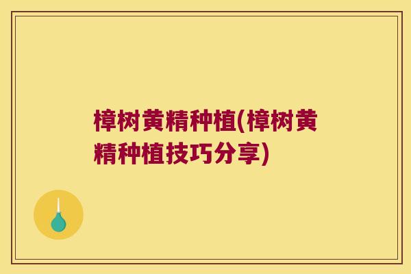 樟树黄精种植(樟树黄精种植技巧分享)