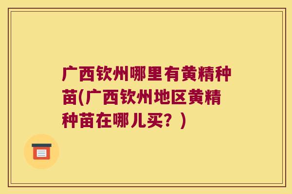 广西钦州哪里有黄精种苗(广西钦州地区黄精种苗在哪儿买？)
