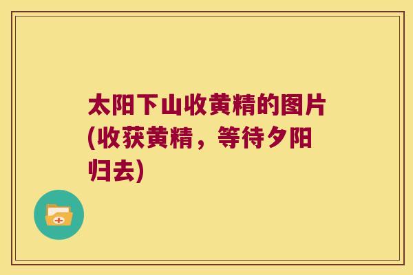 太阳下山收黄精的图片(收获黄精，等待夕阳归去)