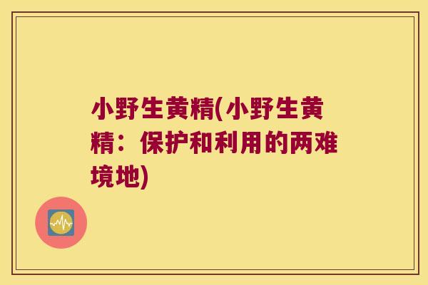 小野生黄精(小野生黄精:保护和利用的两难境地) 小野生黄精(小野生黄精:保护和利用的两难境地)