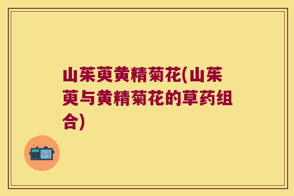 山茱萸黄精菊花(山茱萸与黄精菊花的草药组合) 山茱萸黄精菊花(山茱萸与黄精菊花的草药组合)