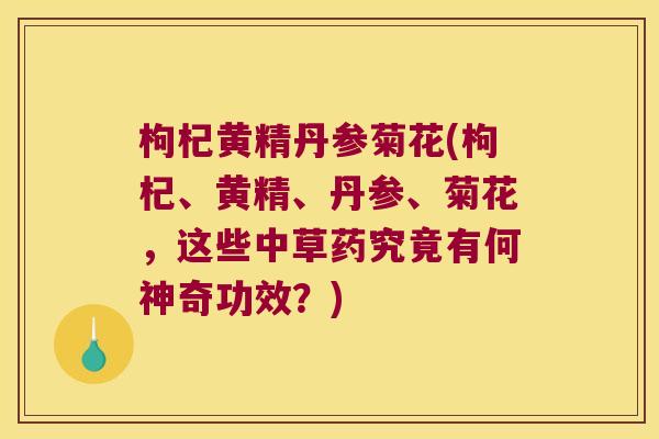 枸杞黄精丹参菊花(枸杞、黄精、丹参、菊花,这些中草药究竟有何神奇功效?) 枸杞黄精丹参菊花(枸杞、黄精、丹参、菊花,这些中草药究竟有何神奇功效?)