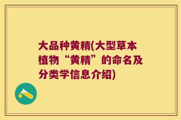 大品种黄精(大型草本植物“黄精”的命名及分类学信息介绍)