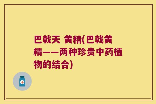 巴戟天 黄精(巴戟黄精——两种珍贵植物的结合) 巴戟天 黄精(巴戟黄精——两种珍贵植物的结合)
