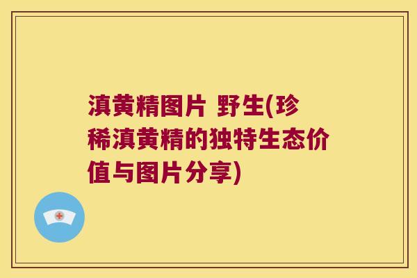 滇黄精图片 野生(珍稀滇黄精的独特生态价值与图片分享)