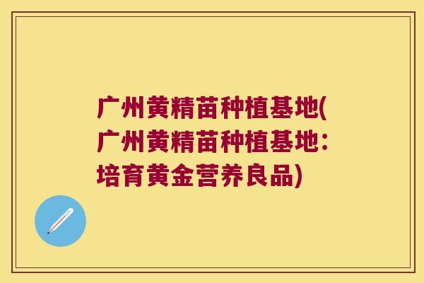 广州黄精苗种植基地(广州黄精苗种植基地:培育黄金营养良品) 广州黄精苗种植基地(广州黄精苗种植基地:培育黄金营养良品)