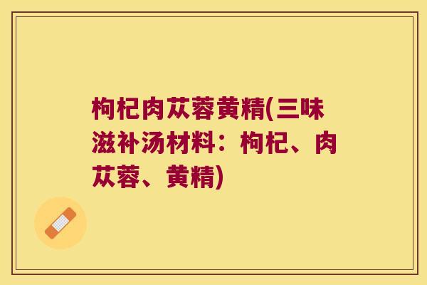枸杞肉苁蓉黄精(三味滋补汤材料:枸杞、肉苁蓉、黄精) 枸杞肉苁蓉黄精(三味滋补汤材料:枸杞、肉苁蓉、黄精)