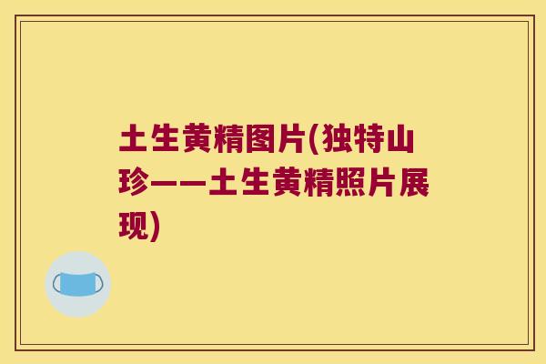土生黄精图片(独特山珍——土生黄精照片展现) 土生黄精图片(独特山珍——土生黄精照片展现)