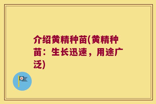 介绍黄精种苗(黄精种苗：生长迅速，用途广泛)