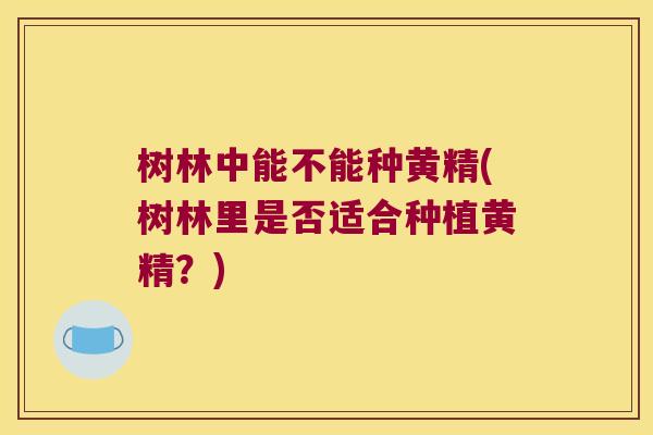 树林中能不能种黄精(树林里是否适合种植黄精？)