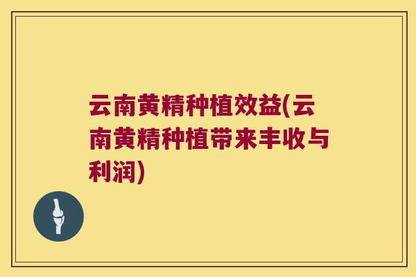 云南黄精种植效益(云南黄精种植带来丰收与利润) 云南黄精种植效益(云南黄精种植带来丰收与利润)