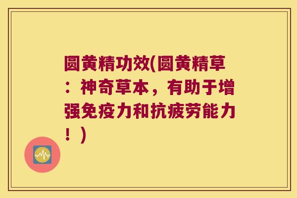 圆黄精功效(圆黄精草:神奇草本,有助于增强力和能力!) 圆黄精功效(圆黄精草:神奇草本,有助于增强力和能力!)