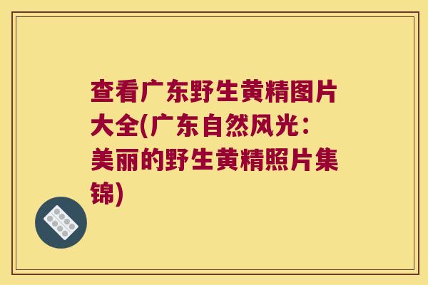 查看广东野生黄精图片大全(广东自然风光：美丽的野生黄精照片集锦)