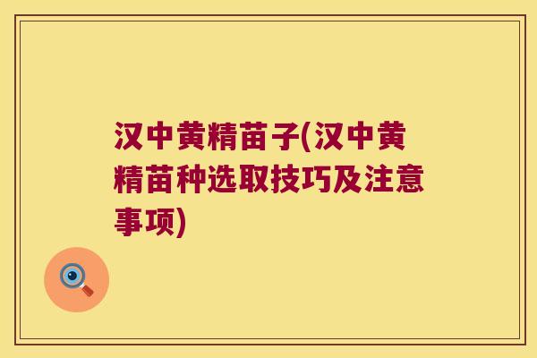 汉中黄精苗子(汉中黄精苗种选取技巧及注意事项)