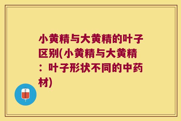 小黄精与大黄精的叶子区别(小黄精与大黄精:叶子形状不同的材) 小黄精与大黄精的叶子区别(小黄精与大黄精:叶子形状不同的材)