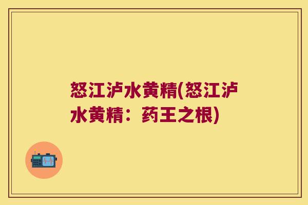 怒江泸水黄精(怒江泸水黄精:药王之根) 怒江泸水黄精(怒江泸水黄精:药王之根)