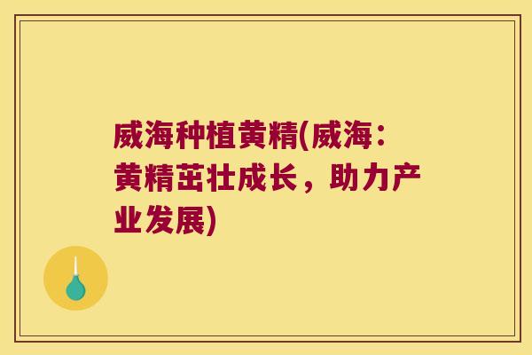 威海种植黄精(威海:黄精茁壮成长,助力产业发展) 威海种植黄精(威海:黄精茁壮成长,助力产业发展)