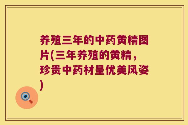 养殖三年的黄精图片(三年养殖的黄精，珍贵材呈优美风姿)