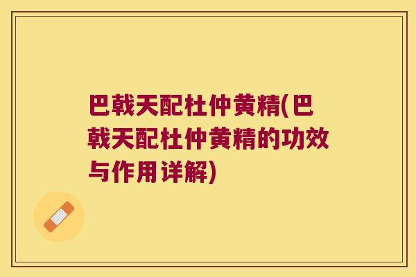 巴戟天配杜仲黄精(巴戟天配杜仲黄精的功效与作用详解) 巴戟天配杜仲黄精(巴戟天配杜仲黄精的功效与作用详解)