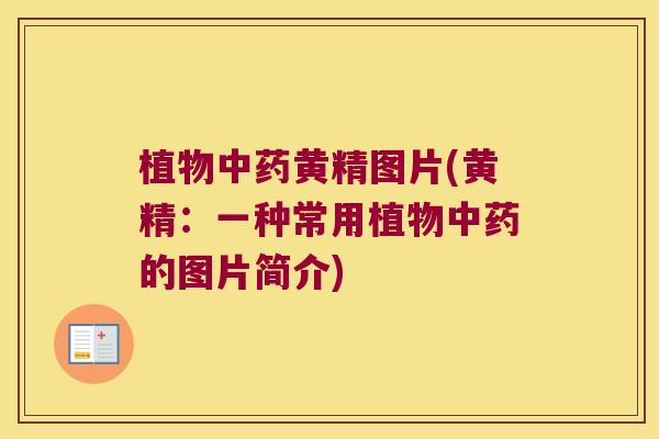 植物黄精图片(黄精:一种常用植物的图片简介) 植物黄精图片(黄精:一种常用植物的图片简介)