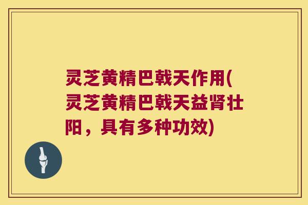 灵芝黄精巴戟天作用(灵芝黄精巴戟天益壮阳，具有多种功效)