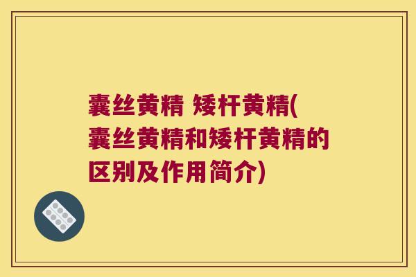 囊丝黄精 矮杆黄精(囊丝黄精和矮杆黄精的区别及作用简介)