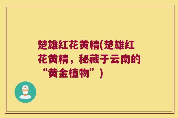 楚雄红花黄精(楚雄红花黄精,秘藏于云南的“黄金植物”) 楚雄红花黄精(楚雄红花黄精,秘藏于云南的“黄金植物”)