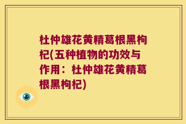 杜仲雄花黄精葛根黑枸杞(五种植物的功效与作用:杜仲雄花黄精葛根黑枸杞) 杜仲雄花黄精葛根黑枸杞(五种植物的功效与作用:杜仲雄花黄精葛根黑枸杞)