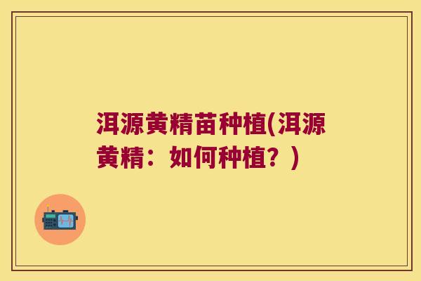洱源黄精苗种植(洱源黄精：如何种植？)