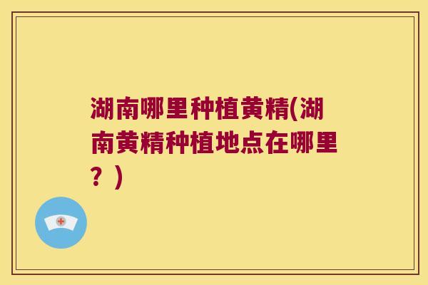 湖南哪里种植黄精(湖南黄精种植地点在哪里？)