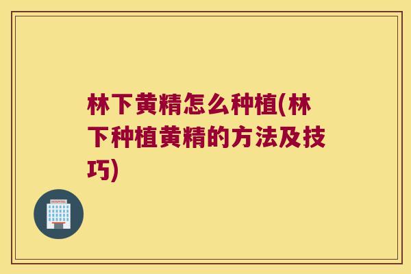 林下黄精怎么种植(林下种植黄精的方法及技巧)