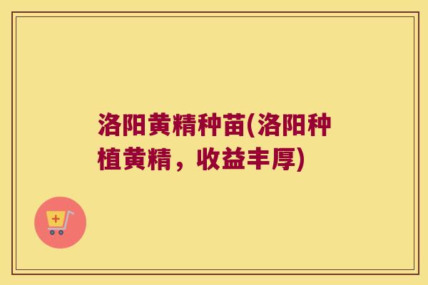 洛阳黄精种苗(洛阳种植黄精，收益丰厚)