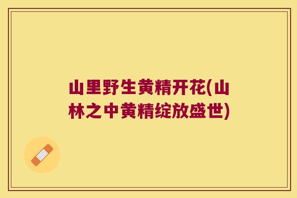 山里野生黄精开花(山林之中黄精绽放盛世) 山里野生黄精开花(山林之中黄精绽放盛世)