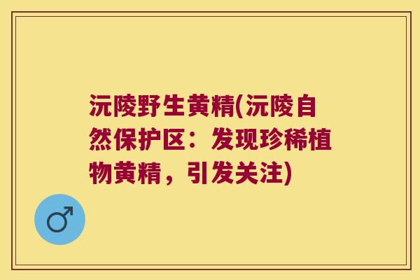 沅陵野生黄精(沅陵自然保护区:发现珍稀植物黄精,引发关注) 沅陵野生黄精(沅陵自然保护区:发现珍稀植物黄精,引发关注)