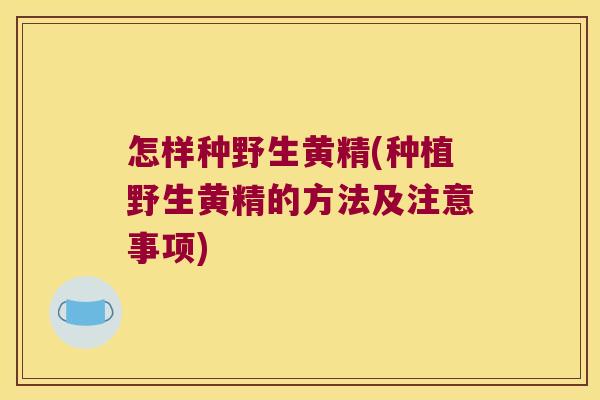 怎样种野生黄精(种植野生黄精的方法及注意事项) 怎样种野生黄精(种植野生黄精的方法及注意事项)