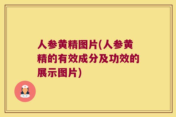 人参黄精图片(人参黄精的有效成分及功效的展示图片)