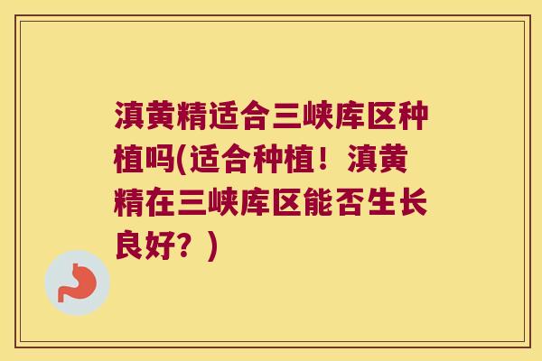 滇黄精适合三峡库区种植吗(适合种植!滇黄精在三峡库区能否生长良好?) 滇黄精适合三峡库区种植吗(适合种植!滇黄精在三峡库区能否生长良好?)